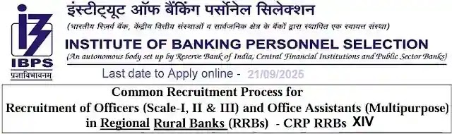 IBPS 14 XIV CRP RRB Officer Office-Assistant Recruitment 2025 IBPS 14 XIV CRP RRB Officer Office-Assistant Recruitment 2025